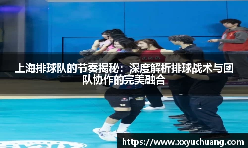 上海排球队的节奏揭秘：深度解析排球战术与团队协作的完美融合
